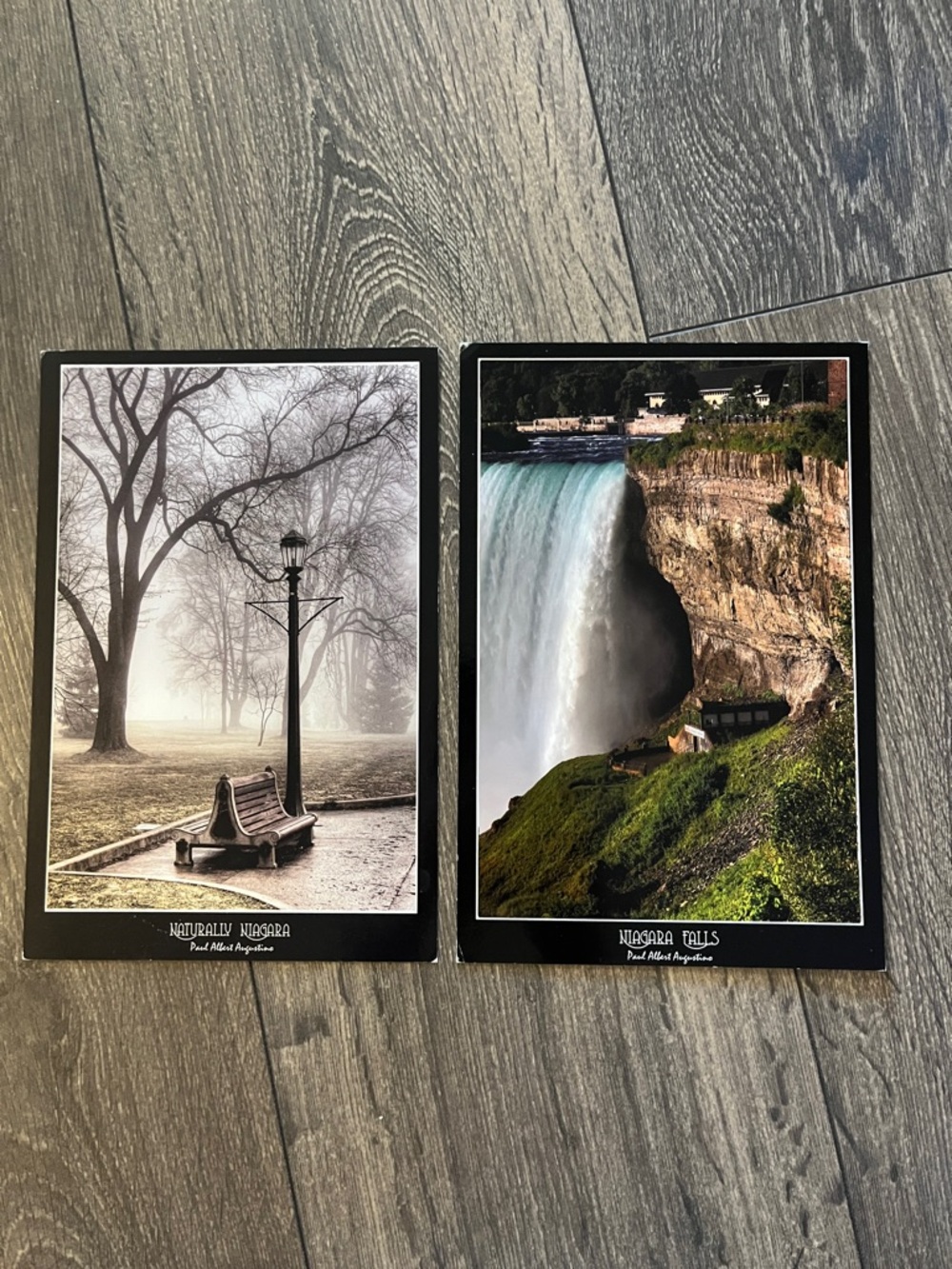 Niagara Falls Oversized Postcard Set  Paul Albert Augustine Artist